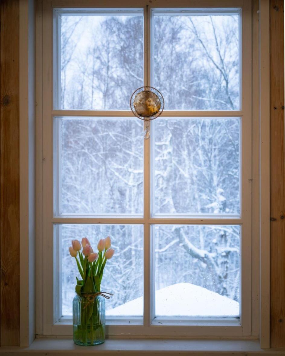 Kolin Mattila B&B Kolinkylä Exteriér fotografie