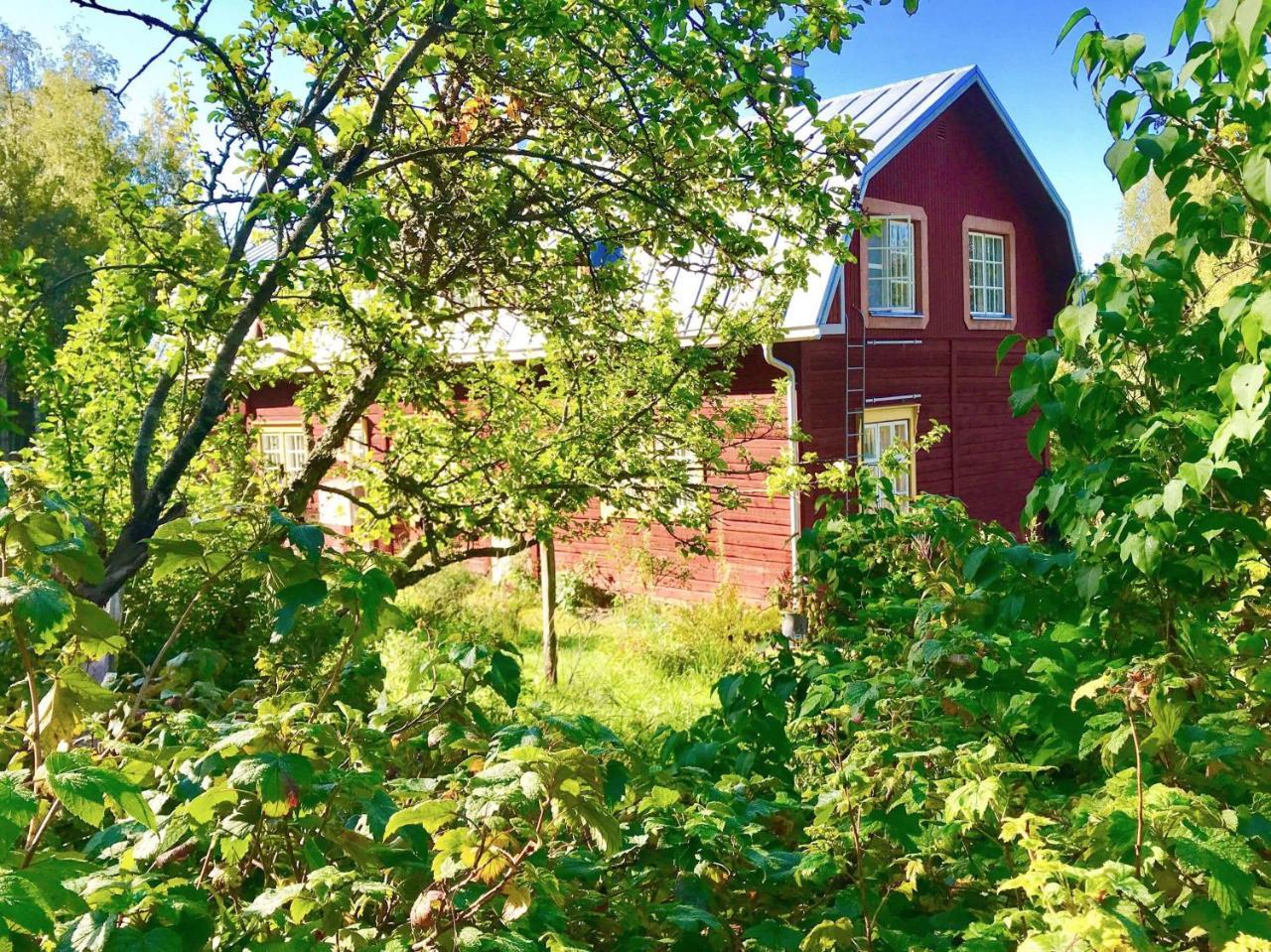 Kolin Mattila B&B Kolinkylä Exteriér fotografie